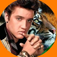 fanclubtigresasdoelvis