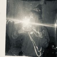 llarypl