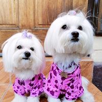 lia.y.lola.maltes