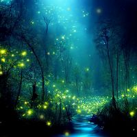 原聲 - 螢火蟲的秘密