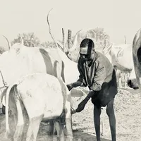 original sound - jekamarek11