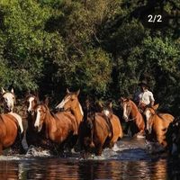 fernandosilveira2155