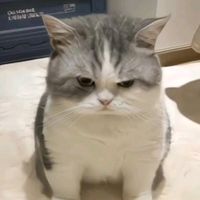 ohwicked_1
