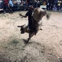 morelitosdehuajintlan