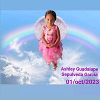 andy.garcia05