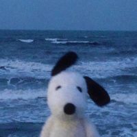 TikTok Account - https://p16-common.tiktokcdn-eu.com/tos-maliva-avt-0068/ea9526ba066a889db62ee5e962d936a6~tplv-tiktokx-cropcenter:200:200.jpeg