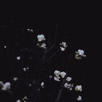 _cheaters00