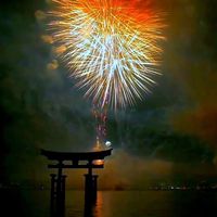firework565