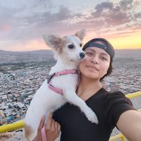 dtceleste