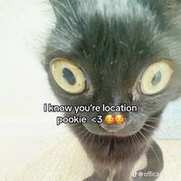 secret_feelings13