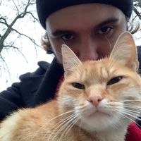 оригинальный звук