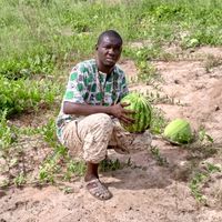 djibyba8418
