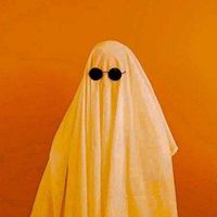 letsfollowthespiders