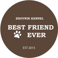 our_best_friend_ever