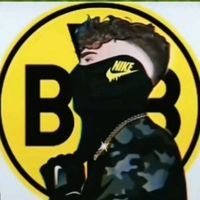 bvb.2009