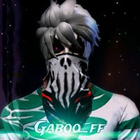 gaboo._ff
