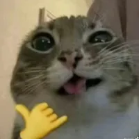 original sound - imnatii_