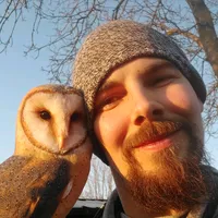 original sound - owloftiktok