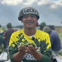 original sound - joseguchy