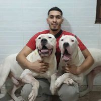 abdslem__dogargentain