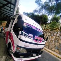 busesenenlacoloniatovar