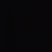 sso_nunik