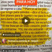 yaniris.acebedo