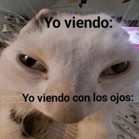 sonido original