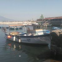 irtoantonino