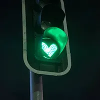 old drake and ririii