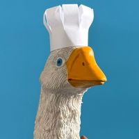thegoosetok