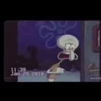 ziezie Cupid Flow OUTNOW