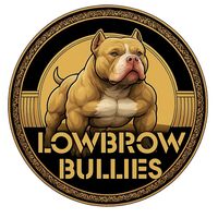 lowbrowbullies