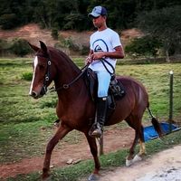 mateus1154