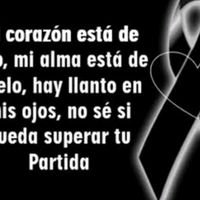 user2708552761366