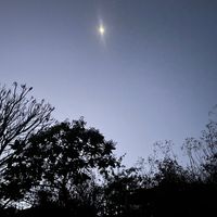 leslie_zapet23