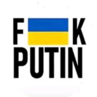 harleyduchessofdoggos