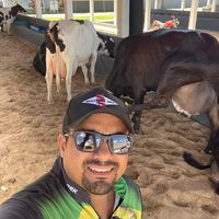 erickveterinario