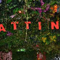 sattinadisco