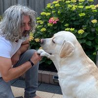 buddy_2020_