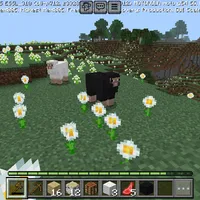 original sound - msjoalansbdislalal