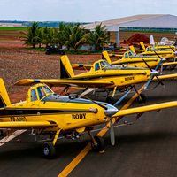 osbrutosviacaoagl2638