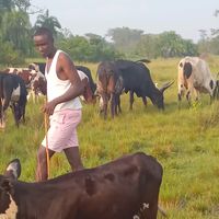 tumusiime8412