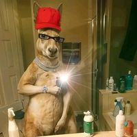 contenido_de_roblox46