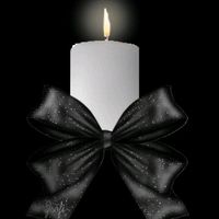 user02586387