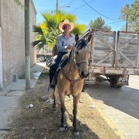 mauricio.valadez5