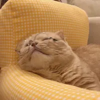 original sound - limangelinajoy