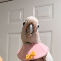 donttellthenurseimout