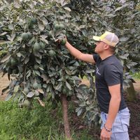 apuntandohacialasima