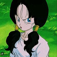 videl_san.2